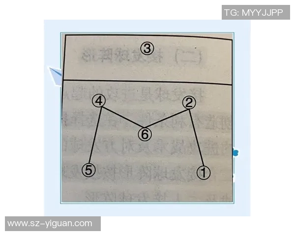 西安排球队阵地战解析：战术布局与球员配合的深度剖析