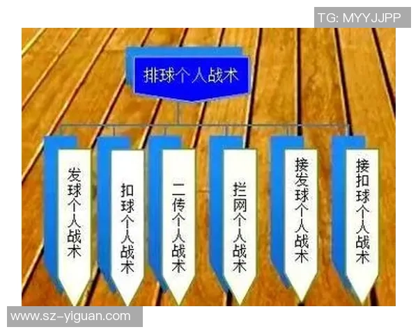 西安排球队的配合技巧分析与战术应用探讨