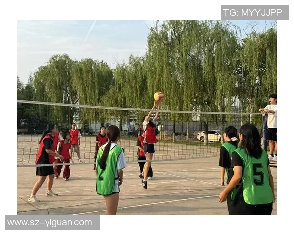 西安排球队团队协作变革引发热议排球界新风潮